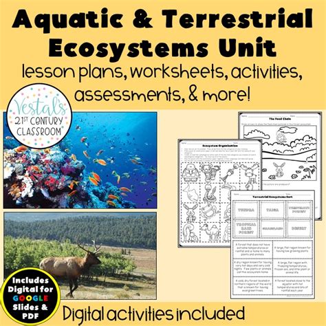 Aquatic And Terrestrial Ecosystems Teaching Resources Tpt Aquatic Ecosystems Worksheet Answer Key - Aquatic Ecosystems Worksheet Answer Key