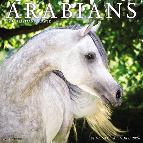 Arabians 2018 12 X 12 Inch Monthly Square Wall Calendar Animals Horses Multilingual Edition