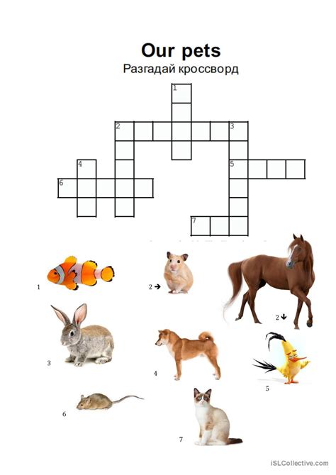 Arachnid Worksheet 4th Grade   Pets Crossword Puzzle Intermediate My Printable Puzzles - Arachnid Worksheet 4th Grade