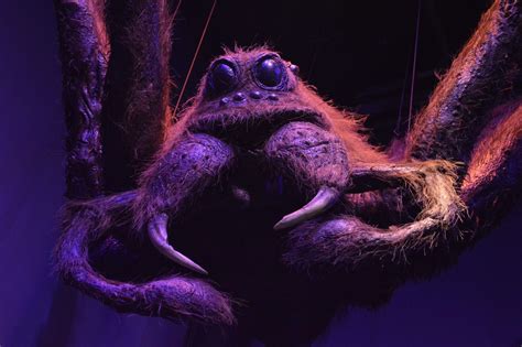 Aragog