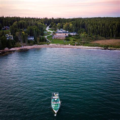 aragosta maine