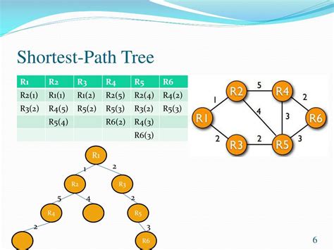 Arborescences And Shortest Path Trees When Colors Matter Science Colours - Science Colours