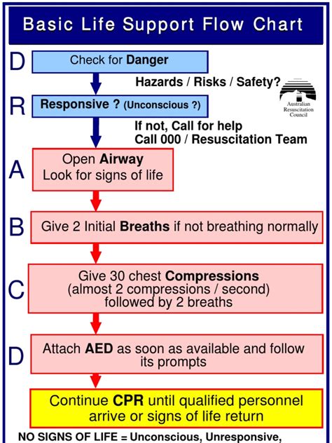 Arc Basic Life Support Flowchart