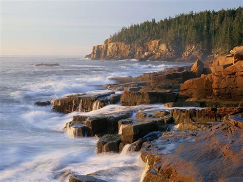 arcadia maine