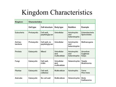 Archaea Kingdom Characteristics