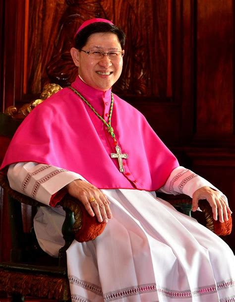 archbishop tagle biography examples