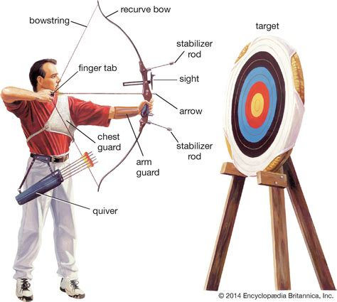 Archery Types Equipment Amp Techniques Britannica Science Of Archery - Science Of Archery