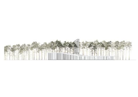 nature photo by Orlo Reinger