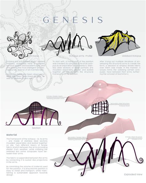 Architecture Octopus 图片