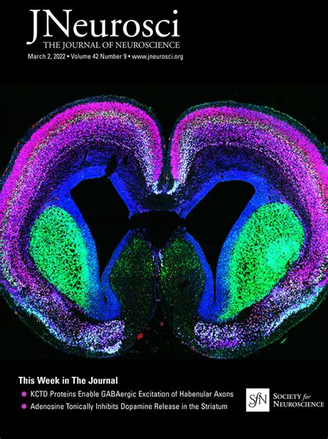 Read Online Archives Of Neuroscience Journal 