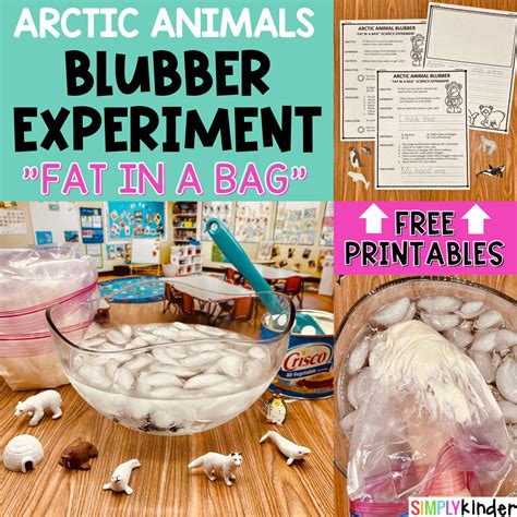 Arctic Animal Adaptations Blubber Science Experiment For Kids Flubber Science Experiment - Flubber Science Experiment