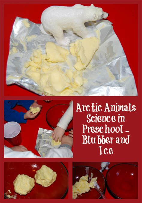 Arctic Animals Preschool Science Blubber And Ice Explorations Preschool  Animal Science Activities - Preschool, Animal Science Activities