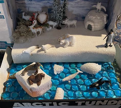 Arctic Diorama Background