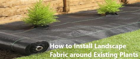 are landscapers supposed to put down fabric in planting beds?