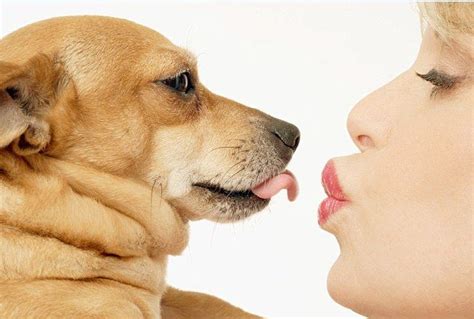 are dog kisses bad for babies