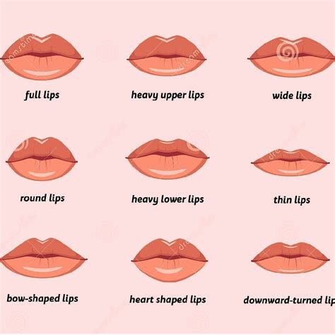 are heart-shaped lips attractive
