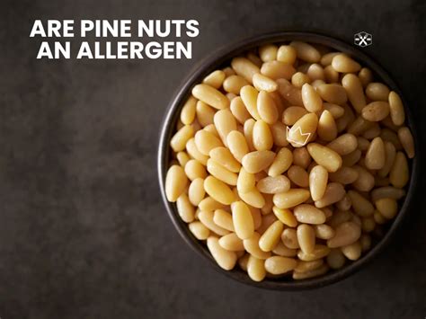 Are Pine Nuts Nuts Allergy