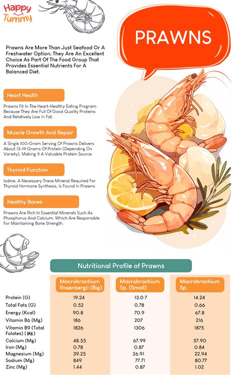 Are Prawns A Good Source Of Protein