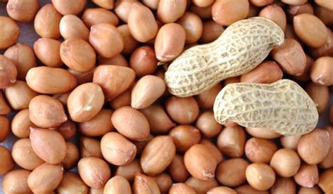 are there different varieties of peanuts - Arad Branding