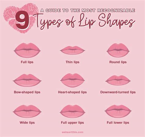 are thin lips attractive for a female male