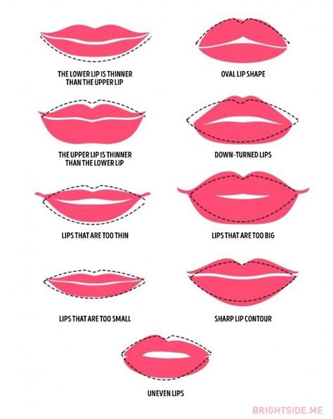 are thin lips attractive for animals without