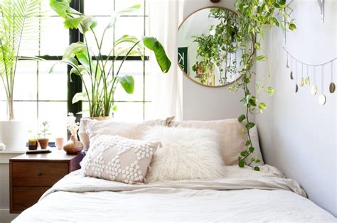 are thin lips attractive to bedroom plants