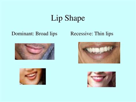 are thin lips dominant behavioral