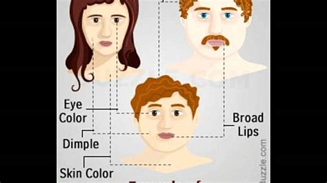 are thin lips dominant or recessive traits associated