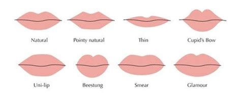 are thin lips dominant vs non viral