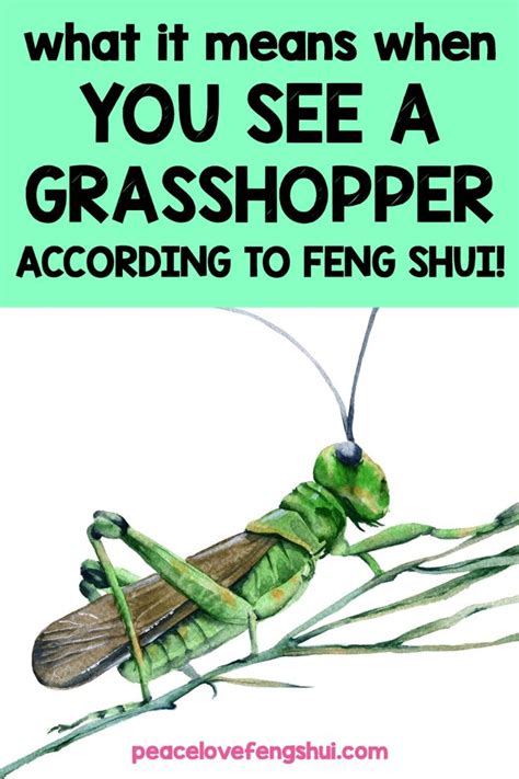 Are You A Grasshopper