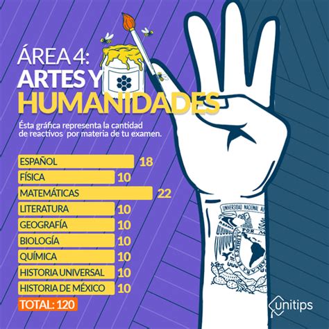Area 4 Unam