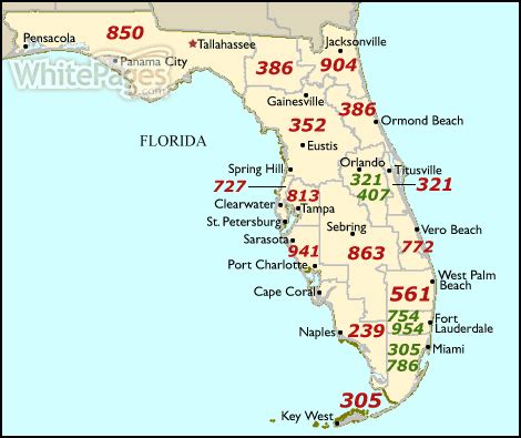area code florida tampa