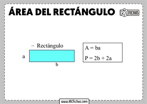 Area De Un Rectangulo