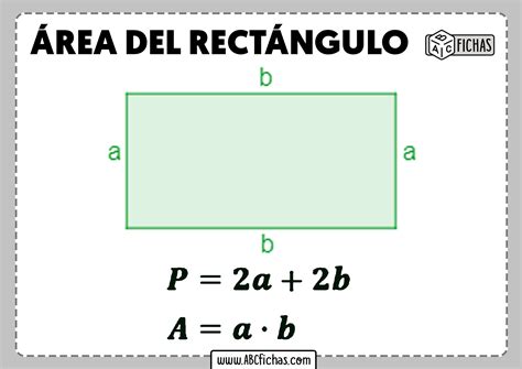 Area Del Rectangulo