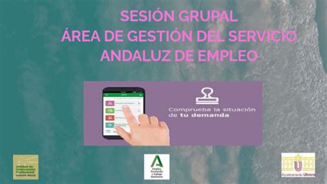 Area Gestion Sae
