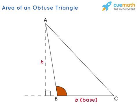 Area Of An Obtuse Triangle Calculator Area Of Obtuse Angled Triangle - Area Of Obtuse Angled Triangle