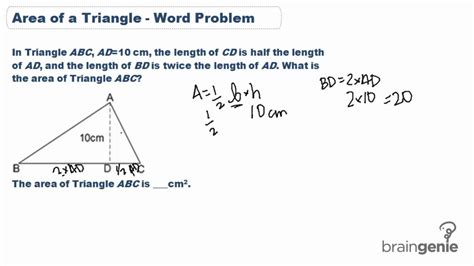 Area Of Triangle Word Problems Worksheet