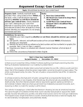 Download Argument Paper On Gun Control 