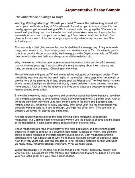 Argumentative Essay 30