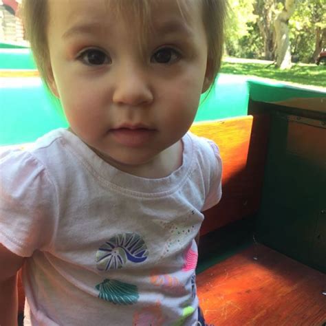 ari palitz biography examples