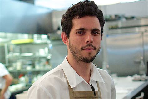 ari taymor biography