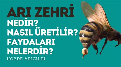 ari zehri nedir 