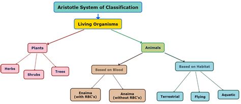 Aristotle Biological Classification