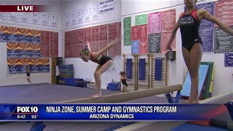 arizona dynamics
