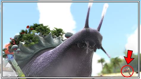 Ark Survival Evolved Snail