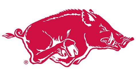 arkansas hogs