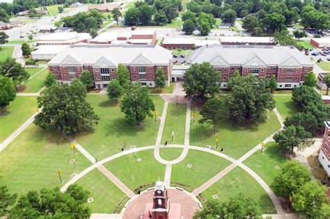 arkansas pine bluff
