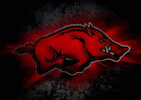 arkansas razorbacks