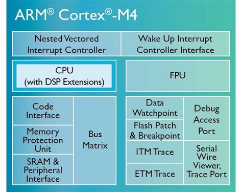 arm cortex m4 programming tutorial