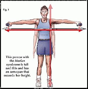 Arm Span To Height Ratio